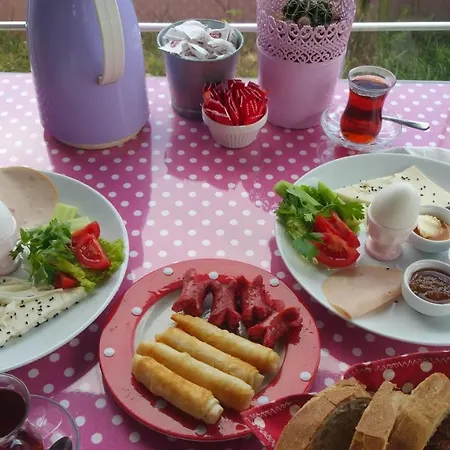 Hotel Sapphire Agva (Marmara)